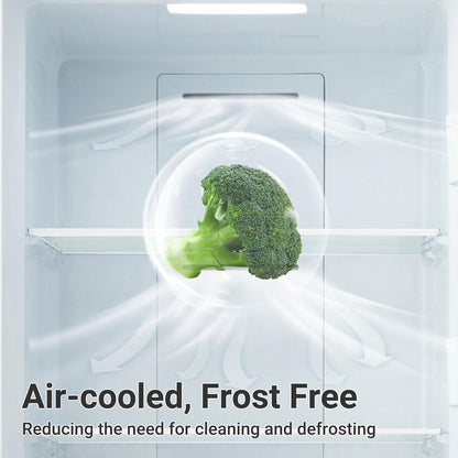 21 Cu.Ft Upright Freezer, Freezer Upright Frost Free Upright Freezers with LED Display,Stainless Steel Convertible Refrigerator Freezer for Garage,Kitchen Use